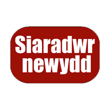 Load image into Gallery viewer, Bathodyn "Siaradwr Newydd" Hirsgwar (Rectangular Badge)