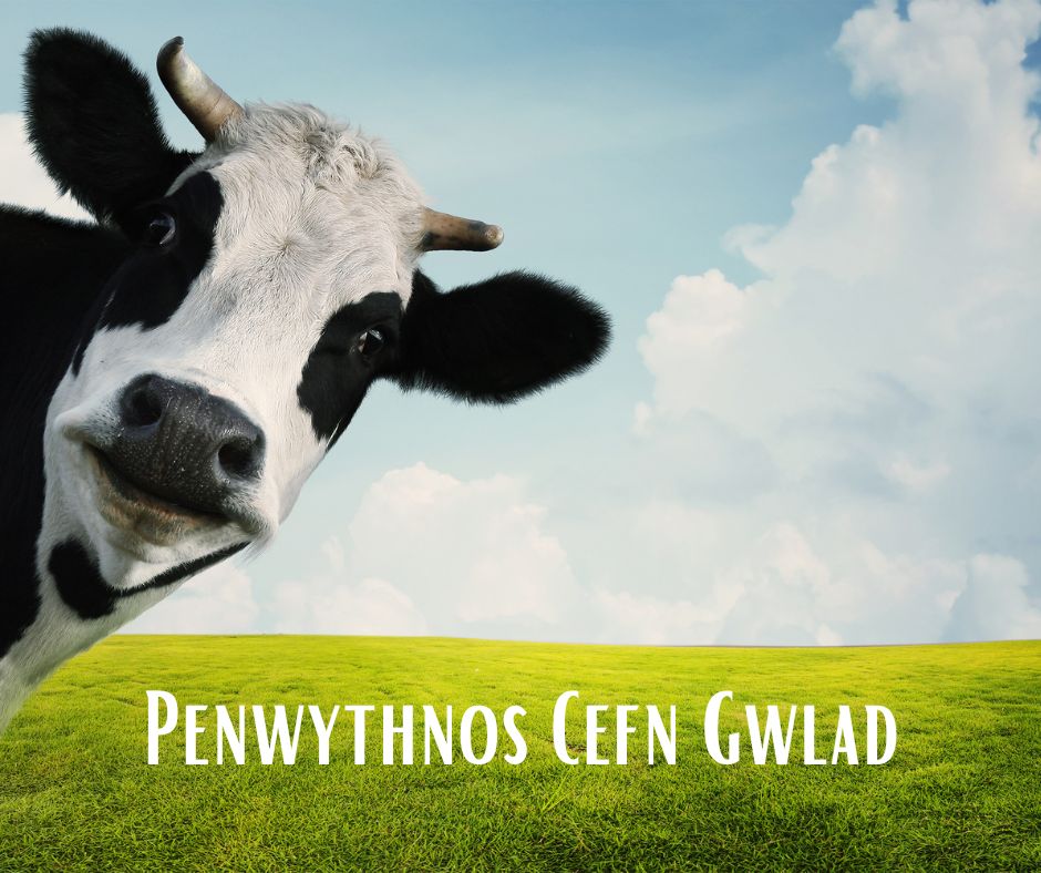 6-9 Mis Hydref Penwythnos Cefn Gwlad Cost £175 Deposit