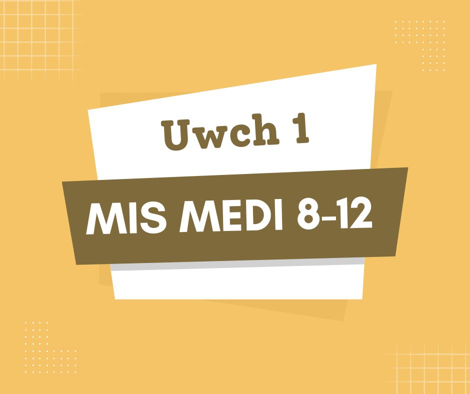 Uwch Level Welsh Course  Mis Medi 8-12 Single room £350 Deposit