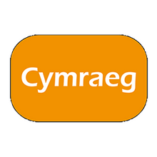 Load image into Gallery viewer, Bathodyn ‘Cymraeg’ Hirsgwar (Rectangular Badge)
